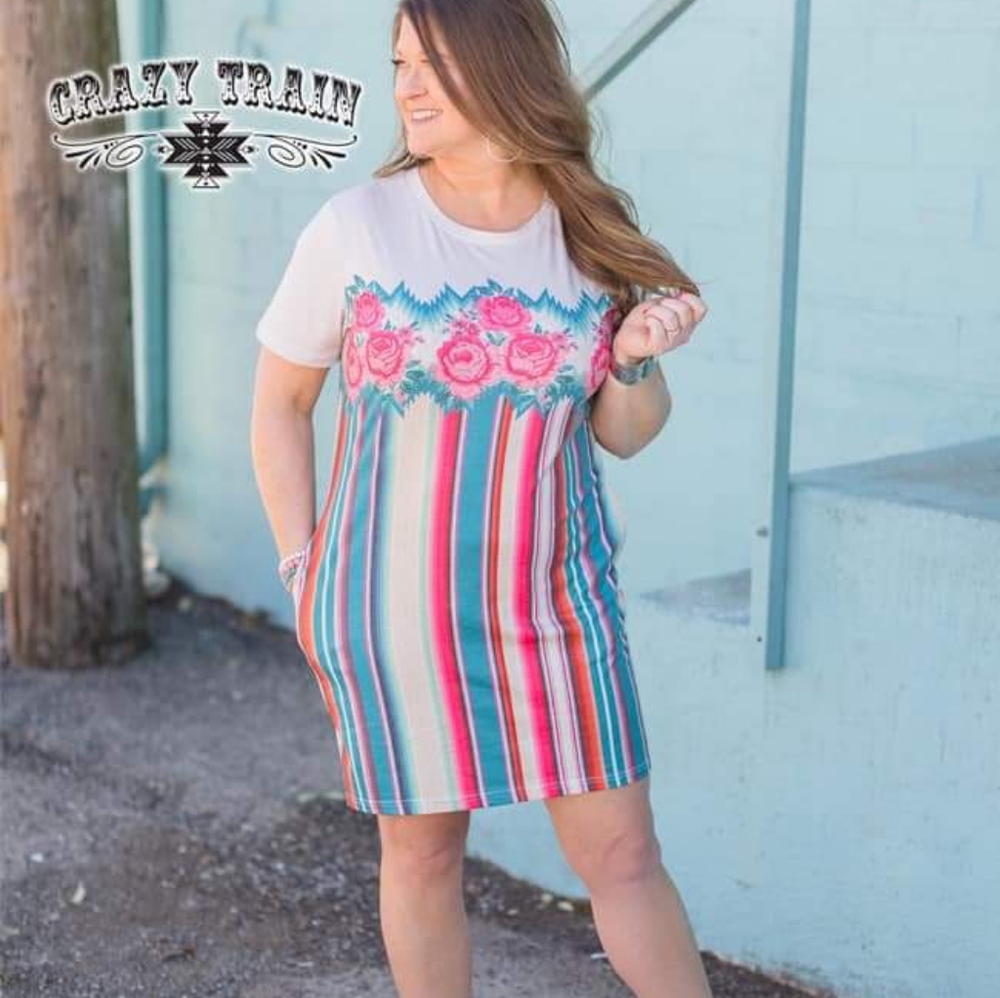 Calypso Crazy Train Dress XL T Shirt Dress pockets floral Aztec western boho